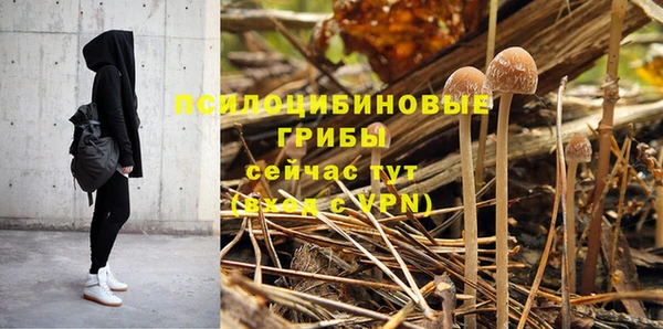 спиды Зеленодольск