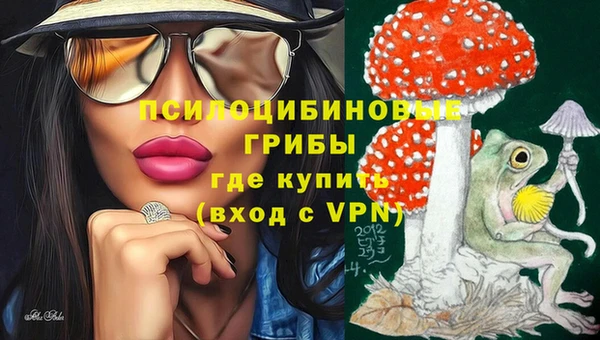 круглые Инта