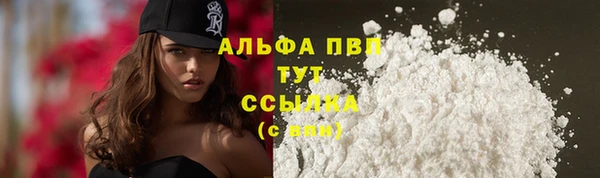 Альфа ПВП Иннополис