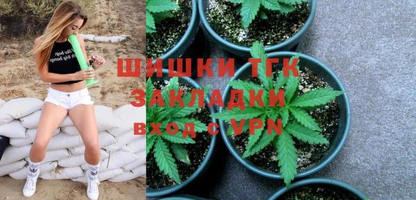 сатива Зеленокумск