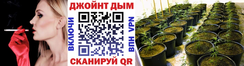Шишки марихуана OG Kush  Купить где  Богородицк 